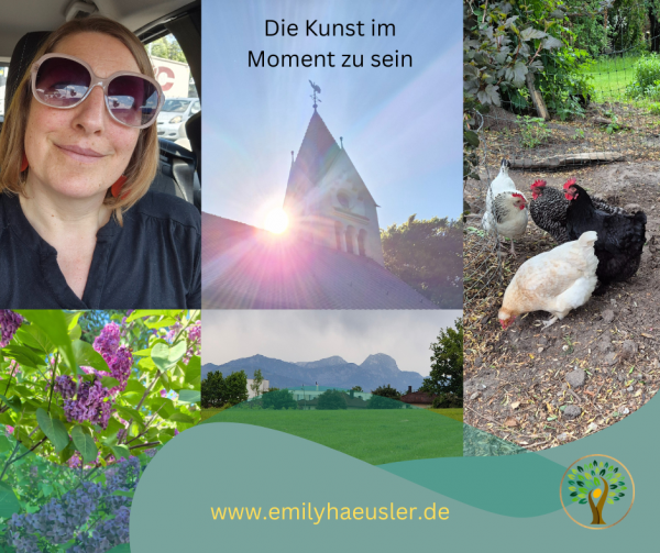 Sonne, Hühner, die kunst im moment zu sein