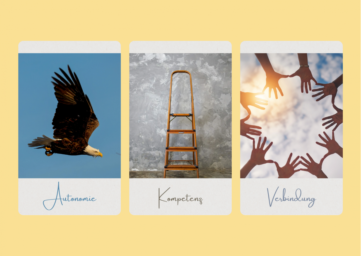 psychische Grundbedürfnisse autonomie kompetenz verbindung